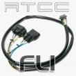 ARK Design - Accelerate Throttle Curve Controller Harnass ARK Design - Accelerate Throttle Curve Controller Harnass