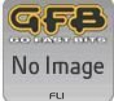 GFB EX50 9 PSI Spring (middle)