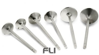 FEF1550P - Ferrea -Inlaatklep BMW M50B25/M52B25/M52B28 (STD) FEF1550P - Ferrea -Inlaatklep BMW M50B25/M52B25/M52B28 (STD)