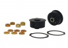 Control Arm Lower - Inner Rear Bushing Kit-Double Offset
