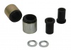 Control Arm Lower - Inner Rear Bushing Kit-Double Offset
