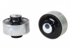 Control Arm Lower - Inner Rear Bushing Kit-Double Offset