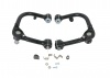 Control Arm Upper - Arm Assembly