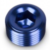 NPT Afdicht Plug met Inbus Kop 1/4 Blauw