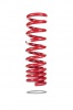 PED-7841 Pedders Heavy Duty Coil Spring - Rear spring Raised (15mm)