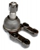 Pedders Ball Joint (Pedders-PBJ2029)