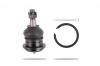 Pedders Ball Joint (Pedders-PBJ3881)