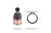 Pedders Ball Joint (Pedders-PBJ556)