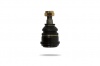 Pedders Ball Joint (Pedders-PBJ8036)