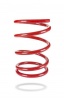 Pedders Sportsryder Coil Spring