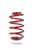 Pedders Sportsryder Coil Spring (Pedders-2024)