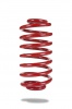 Pedders Sportsryder Coil Spring (Pedders-2061)