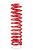 Pedders Sportsryder Coil Spring (Pedders-2136)