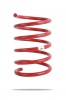 Pedders Sportsryder Coil Spring (Pedders-2564)