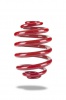 Pedders Sportsryder Coil Spring (Pedders-2589)