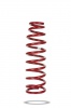 Pedders Trakryder Coil Spring