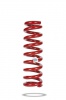 Pedders Trakryder Coil Spring