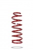 Pedders Trakryder Coil Spring