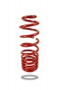Pedders Trakryder Coil Spring