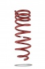 Pedders Trakryder Coil Spring (Pedders-280130)