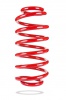 Pedders Trakryder Coil Spring (Pedders-7439)