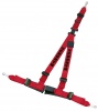 Schroth Racing Racegordel 3-punts Rallye Links Rood