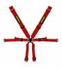 Schroth Racing Racegordel 6-punts Rood Porsche 981