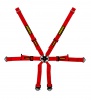 Schroth Racing Racegordel 6-punts Rood Porsche 991