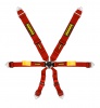 Schroth Racing Racegordel Enduro 6-punts Rood