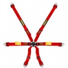 Schroth Racing Racegordel Enduro 6-punts Rood