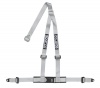 Sparco Racegordel Clubman 3-punts Zilver