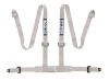 Sparco Racegordel Clubman 4-punts Zilver