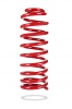 Sports Ryder Coil Spring (Pedders-2603)
