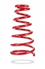 Sports Ryder Coil Spring (Pedders-2628)