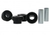 Strut Rod - To Chassis Bushing Kit