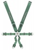 Takata Racegordel 6-punts Race 3x2 Groen