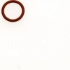 WG Valve Guide O Ring TS-0501-3004