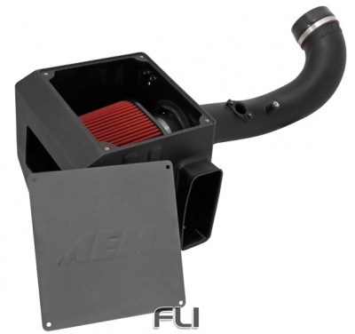 21-8030DC Cold Air Intake System - Air Intake Systems