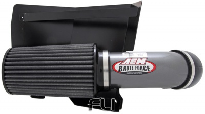 21-8204DC Brute Force Intake System - Air Intake Systems