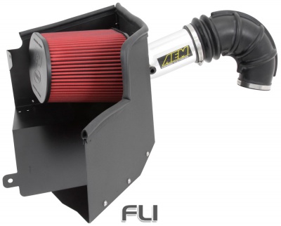 21-8228DP Brute Force Intake System - Air Intake Systems