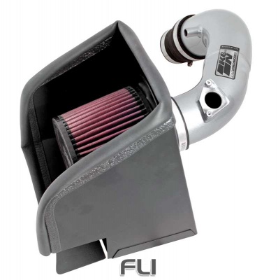 69-8613TS Performance Air Intake System