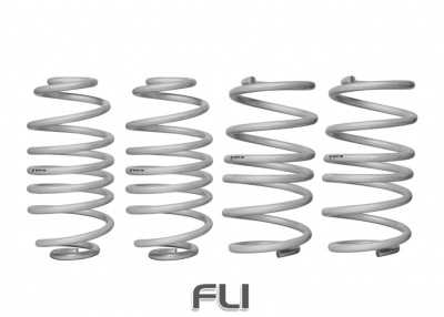 Coil Springs - Lowered