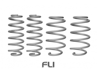 Coil Springs - Lowered