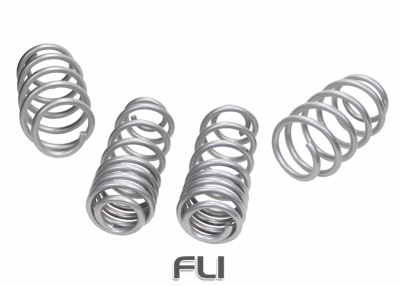 Coil Springs - Lowered