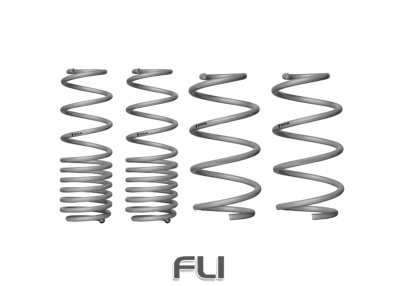 Coil Springs - Lowered