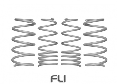 Coil Springs - Lowered