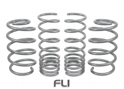 Coil Springs - Lowered