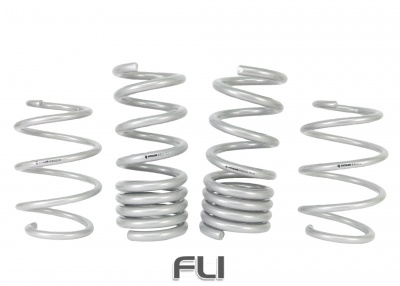 Coil Springs - Lowered