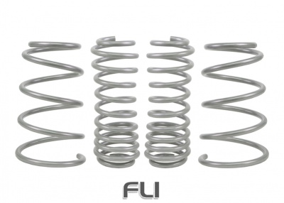 Coil Springs - Lowered