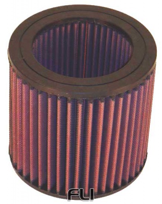 E-2455 Replacement Air Filter